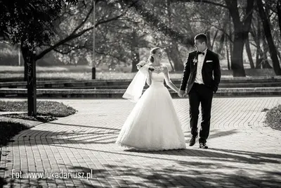 Fotografia ślubna Rzeszów - Dariusz Łuka